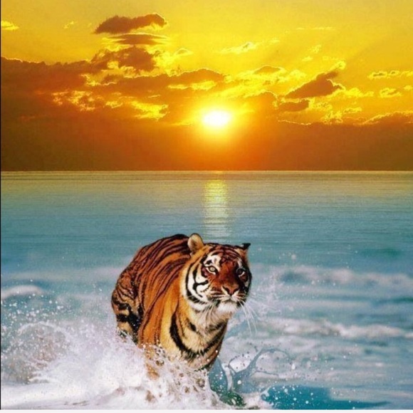 Meet your Posher, Brenda - Picture 5 of 13